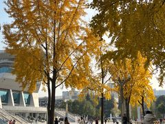 -四川大学(望江校区)