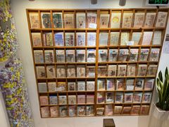 -猫的天空之城概念书店(苏州平江店)