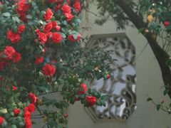 -苏州上方山国家森林公园