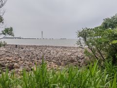 -吴淞炮台湾湿地森林公园烧烤区