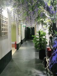 -盘子女人坊生日照·摄影馆(华强店)