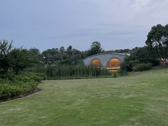 -瑶湖郊野森林公园