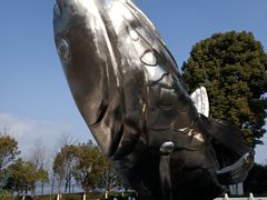 -绿城千岛湖喜来登度假酒店