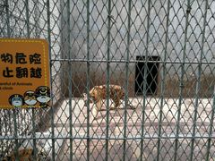 -西安秦岭野生动物园