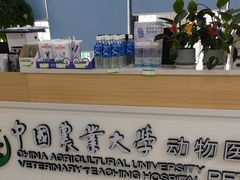 -中国农业大学动物医院