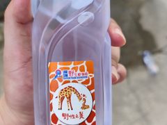 -深圳野生动物园