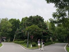 -洋湖国家湿地公园
