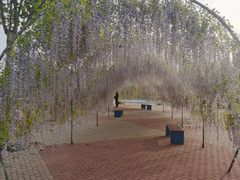 -北戴河圣蓝海洋公园