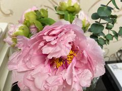 -双季花艺园艺市场(浦东店)