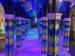 -天津梵高星空艺术馆(天河城旗舰店)