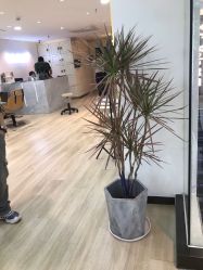 -新晨·SALON·形象造型