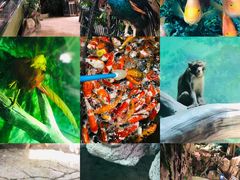 -福州罗源湾海洋世界旅游区