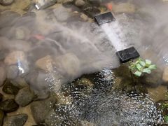 -华夏良子·足道SPA艾灸(翠微店)