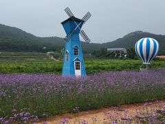 -金石滩蓝莓谷庄园