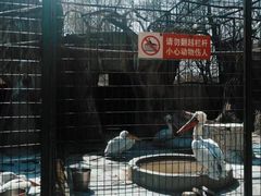 -保定市动物园