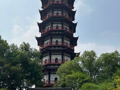 -绳金塔