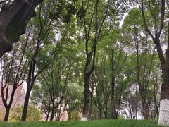 -重庆市江北嘴中央商务区中央公园