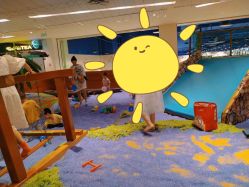 点击看大图 -可可天空农场(东部新城银泰店)