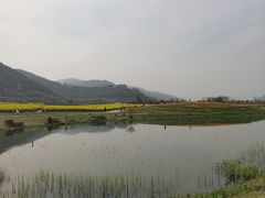 -径山花海