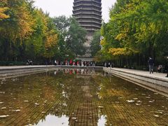 -玲珑塔公园