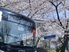 -南浦大桥长途旅游客运站