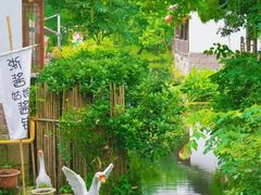 -西溪国家湿地公园