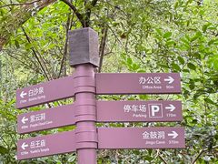 -杭州黄龙洞