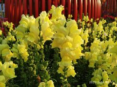 -文华公园(禅城区)