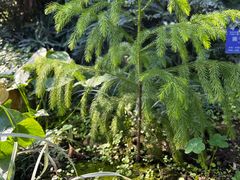 -国家植物园南园