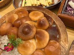 -季季山·云南野生菌火锅(上海首店)