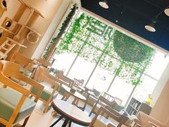 -藏猫猫咖啡主题馆(中央大道店)