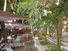 -陶缘一号·四季缘·老字号顺德菜·户外婚礼家宴(西滘店)