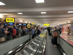 -约翰·菲茨杰拉德·肯尼迪国际机场