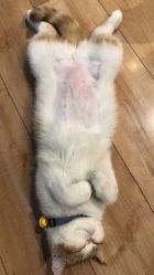 -沫儿·美甲美睫·半永久·皮肤管理