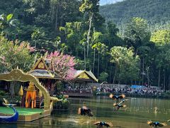 -西双版纳原始森林公园