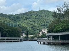 -银湖山郊野公园-相思林