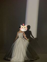 -金夫人婚纱摄影(总店)