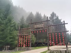 -苏木山森林公园