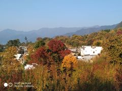 -塔川景区