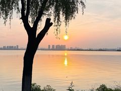 -瑶湖湿地自然保护区