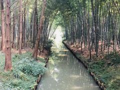 -同里国家湿地公园