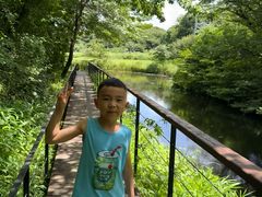 -济州森林小火车生态公园