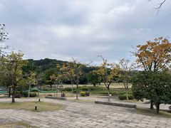 -牛岗山公园
