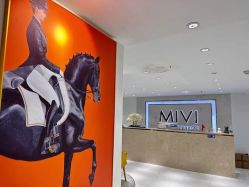 -MIVI野生眉纹绣纹眉