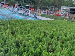 -海底捞火锅(大融城店)