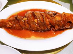 -燕春楼(海河华鼎店)