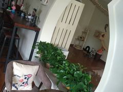 -Meowの猫咖(万家丽店)