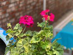 -何适山庄 ·可团建(水长城P2停车场店)