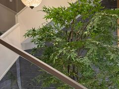 -上海美兆健康医疗体检中心(古北店)