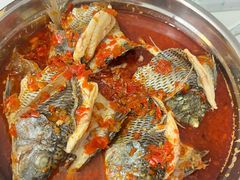 -风鑫铃罗非鱼(道沟店)